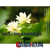 湖南天之翊貿易